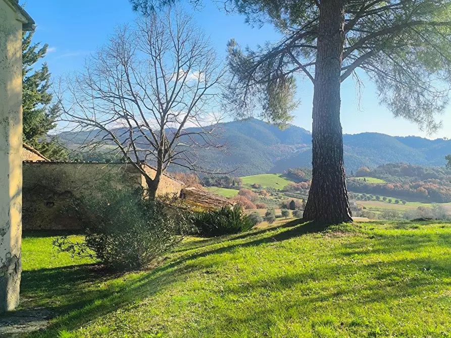 Immagine 23 di Casa colonica in vendita  a Pomarance