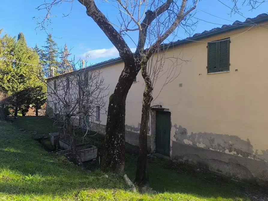 Immagine 27 di Casa colonica in vendita  a Pomarance