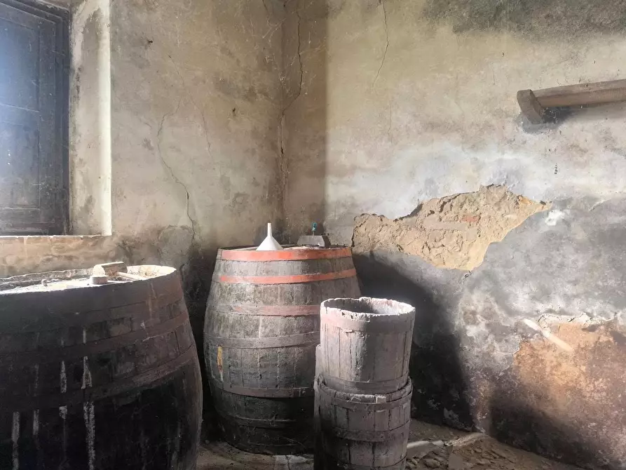 Immagine 18 di Casa colonica in vendita  a Pomarance