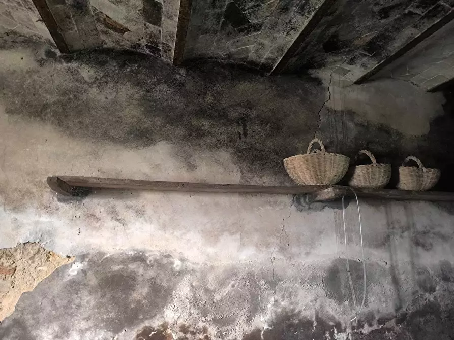 Immagine 17 di Casa colonica in vendita  a Pomarance