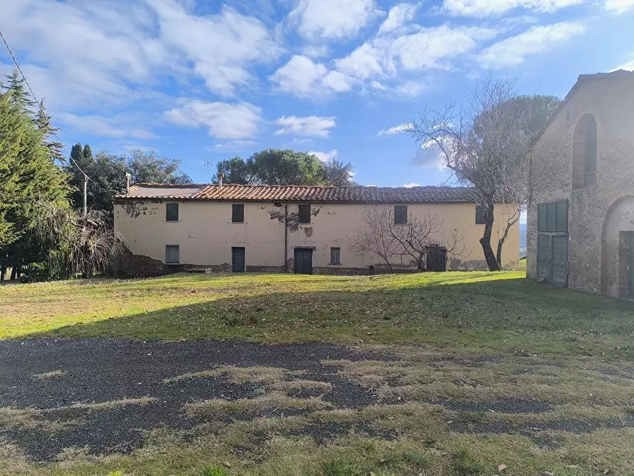 Immagine 4 di Casa colonica in vendita  a Pomarance
