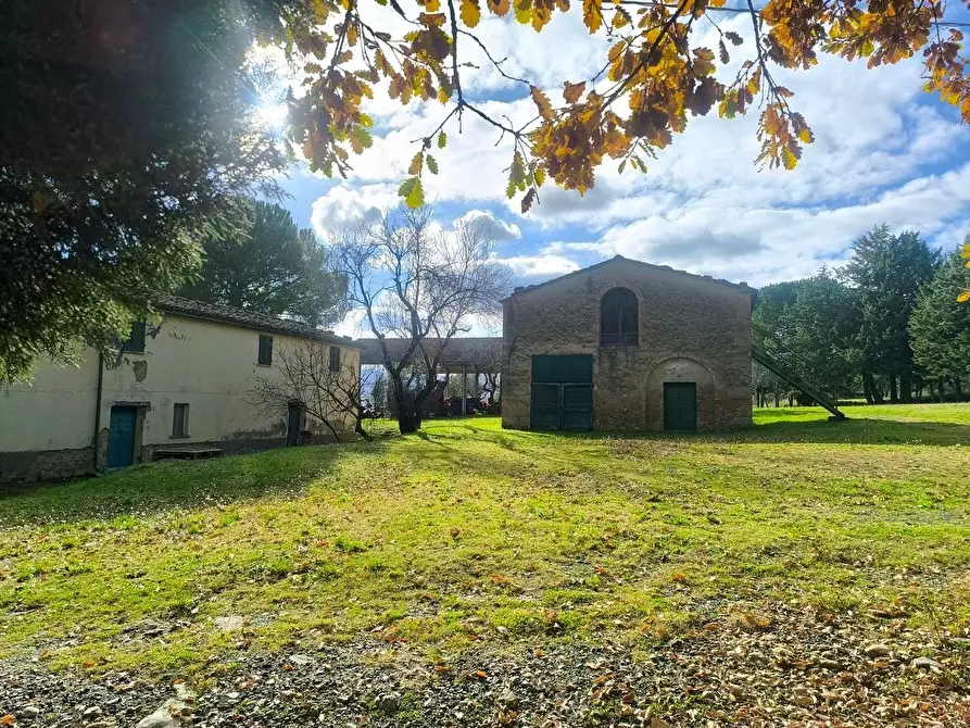 Immagine 8 di Casa colonica in vendita  a Pomarance