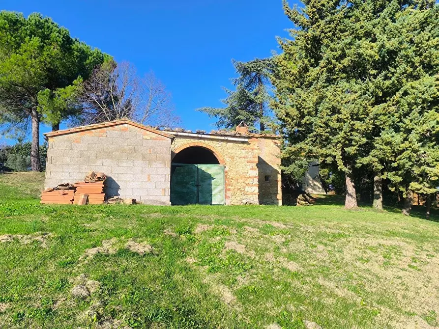 Immagine 52 di Casa colonica in vendita  a Pomarance