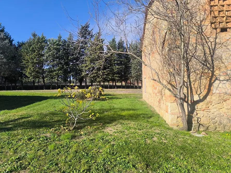 Immagine 22 di Casa colonica in vendita  a Pomarance