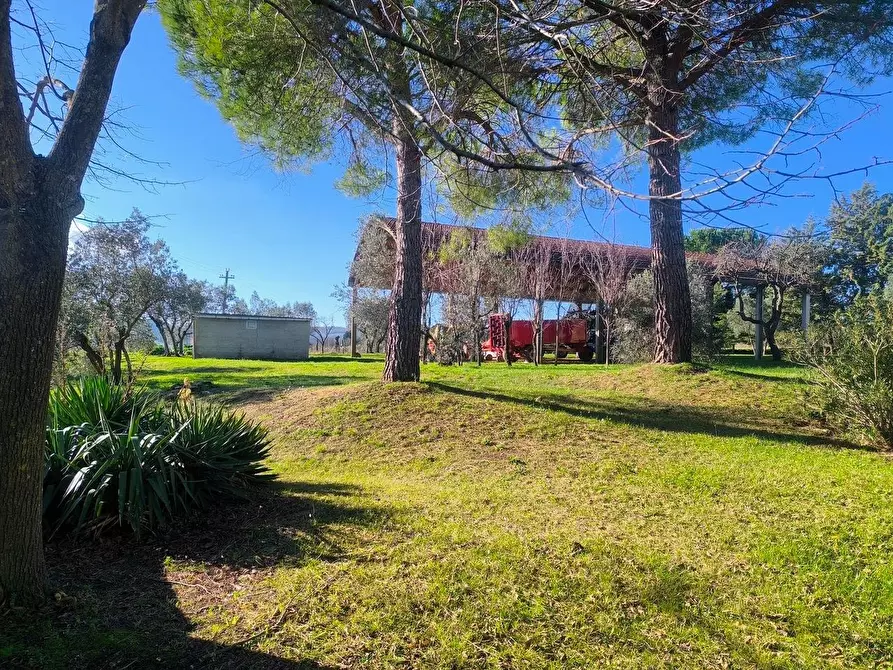 Immagine 45 di Casa colonica in vendita  a Pomarance