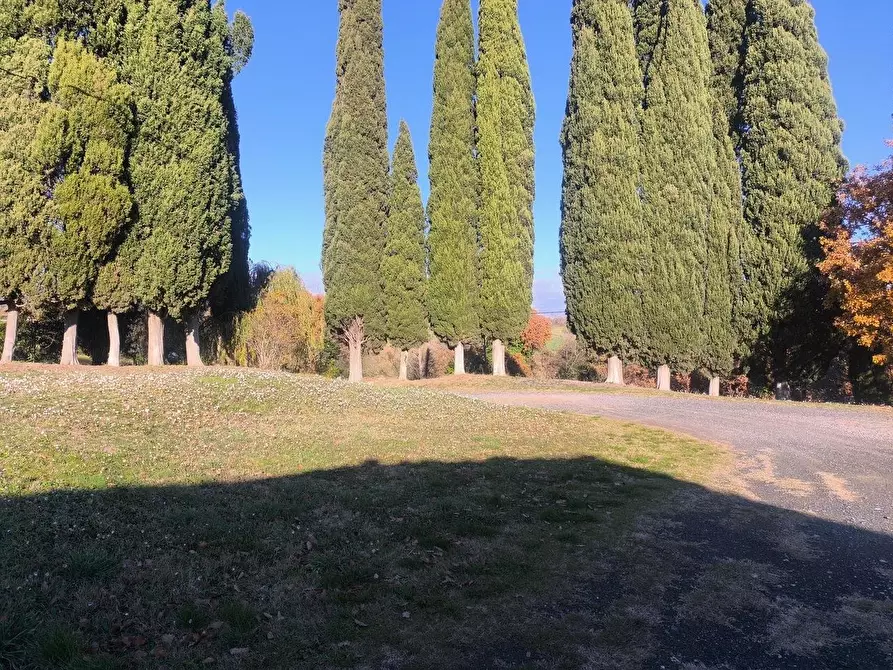 Immagine 66 di Casa colonica in vendita  a Pomarance