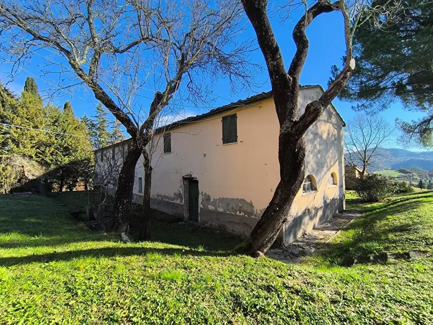 Immagine 25 di Casa colonica in vendita  a Pomarance