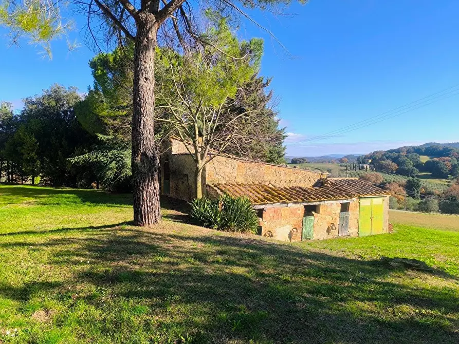 Immagine 42 di Casa colonica in vendita  a Pomarance