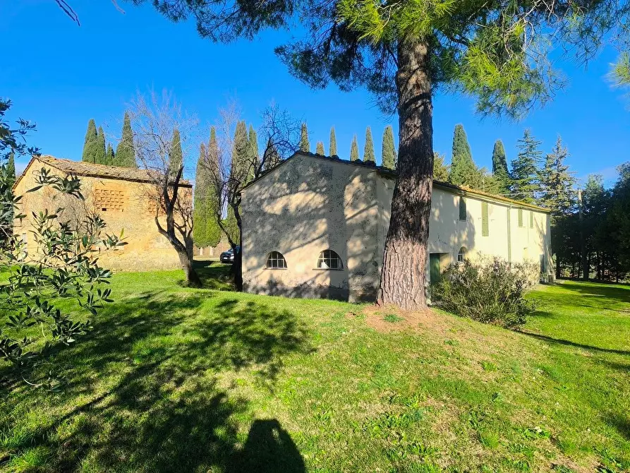 Immagine 41 di Casa colonica in vendita  a Pomarance