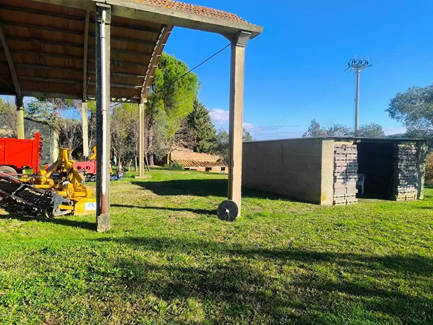 Immagine 58 di Casa colonica in vendita  a Pomarance