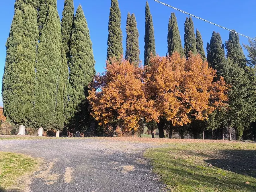 Immagine 69 di Casa colonica in vendita  a Pomarance