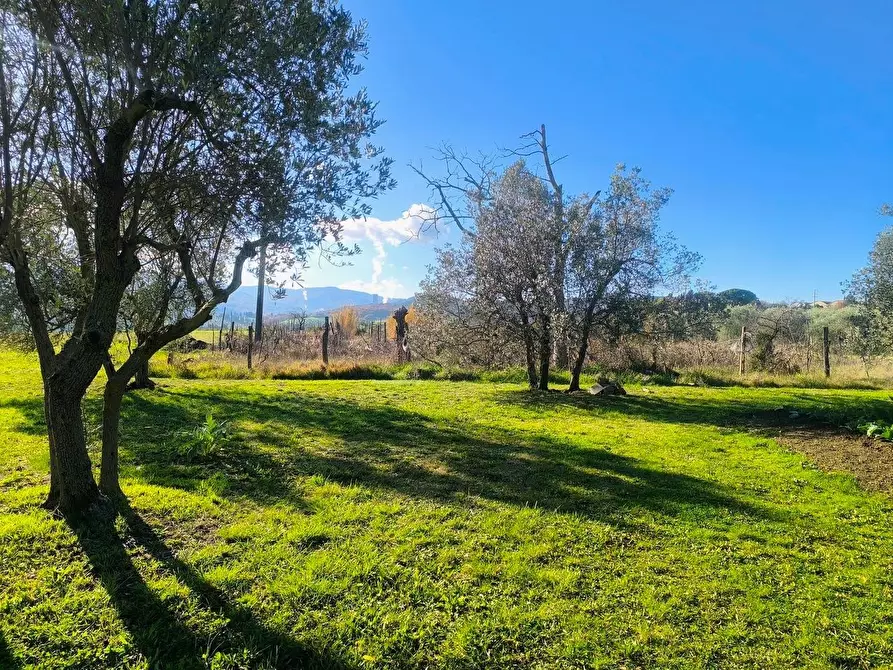 Immagine 59 di Casa colonica in vendita  a Pomarance