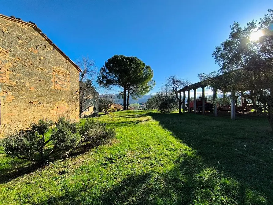 Immagine 64 di Casa colonica in vendita  a Pomarance