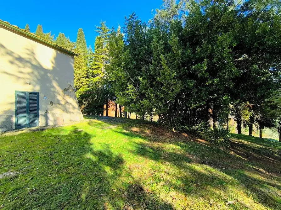 Immagine 49 di Casa colonica in vendita  a Pomarance