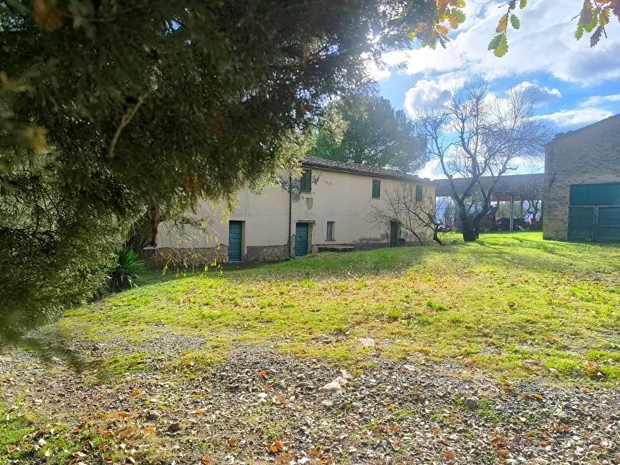Immagine 9 di Casa colonica in vendita  a Pomarance