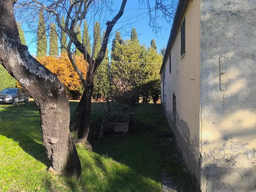 Immagine 39 di Casa colonica in vendita  a Pomarance