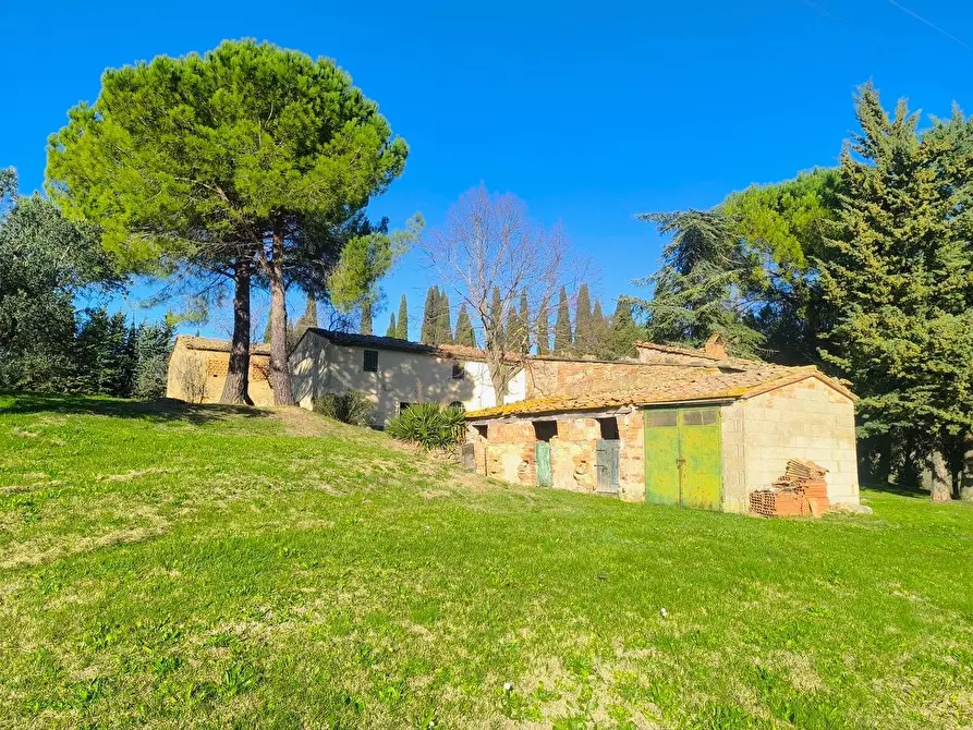 Immagine 55 di Casa colonica in vendita  a Pomarance
