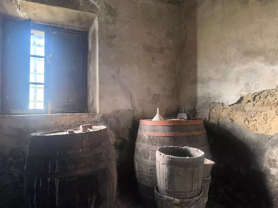 Immagine 19 di Casa colonica in vendita  a Pomarance