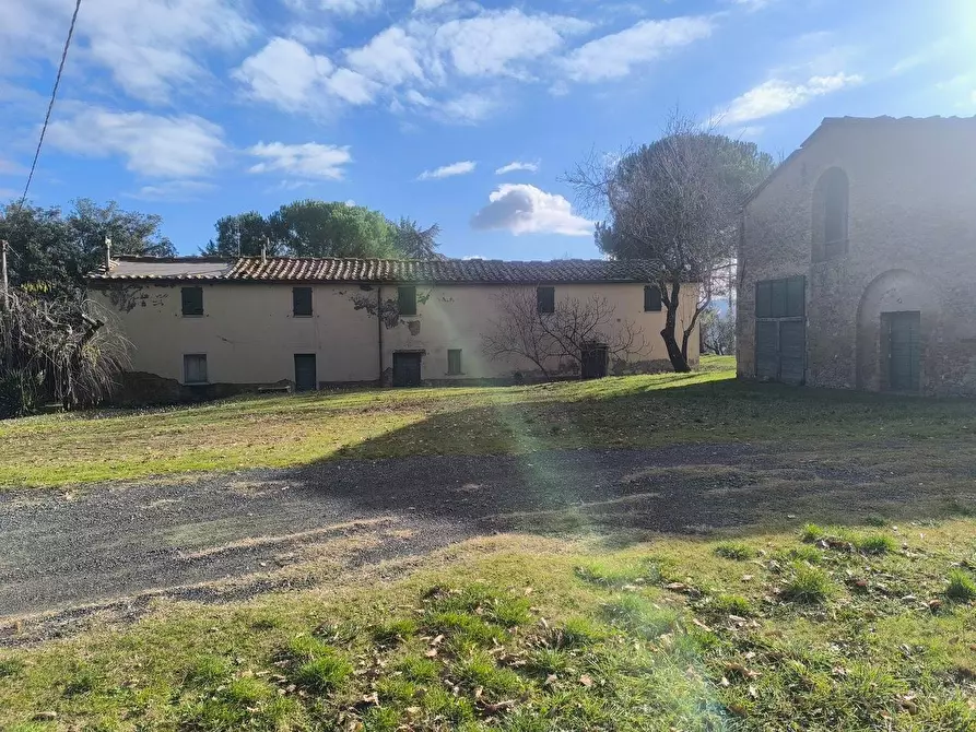 Immagine 7 di Casa colonica in vendita  a Pomarance