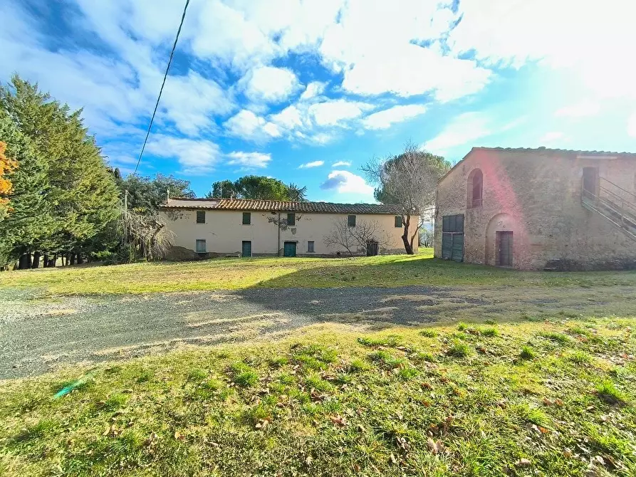 Immagine 6 di Casa colonica in vendita  a Pomarance