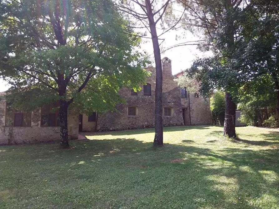 Immagine 4 di Casa colonica in vendita  a Colle Di Val D'elsa