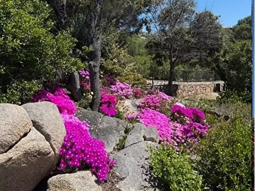 Immagine 10 di Villa in vendita  a Santa Teresa Gallura