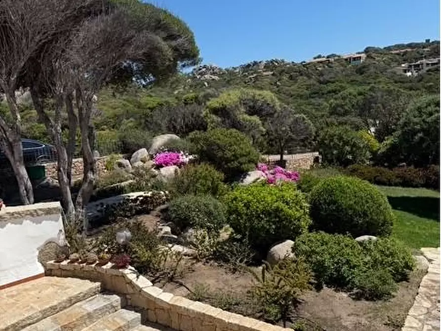 Immagine 6 di Villa in vendita  a Santa Teresa Gallura