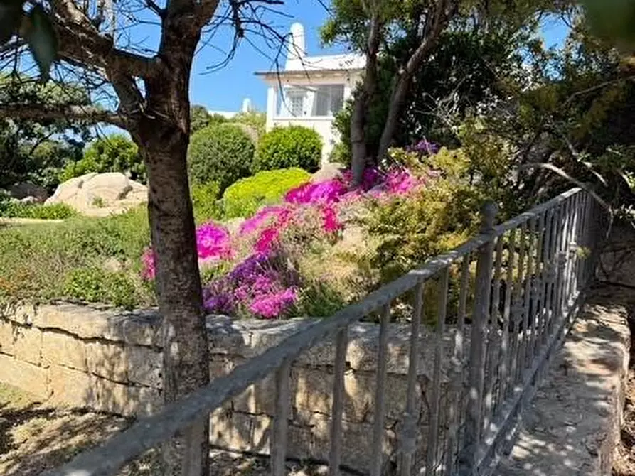 Immagine 5 di Villa in vendita  a Santa Teresa Gallura