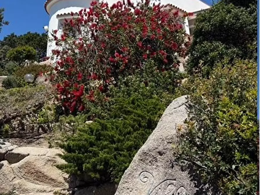 Immagine 8 di Villa in vendita  a Santa Teresa Gallura