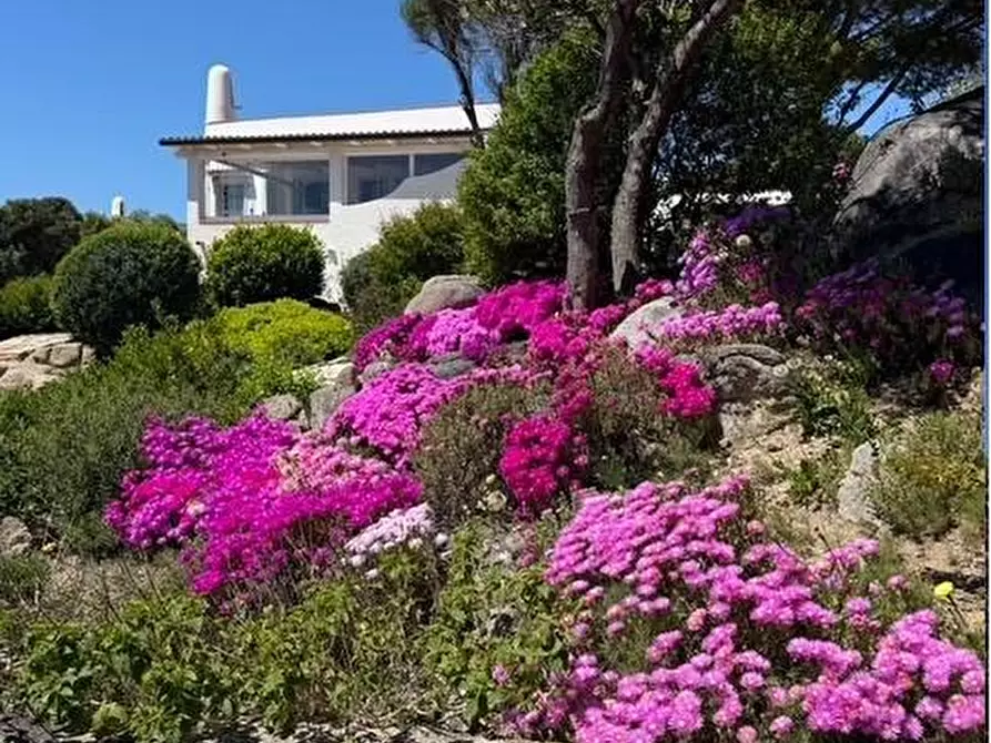 Immagine 11 di Villa in vendita  a Santa Teresa Gallura