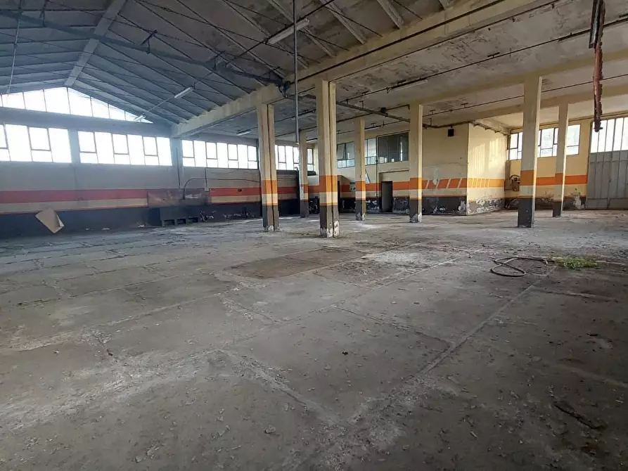 Immagine 3 di Magazzino in vendita  a Pontedera