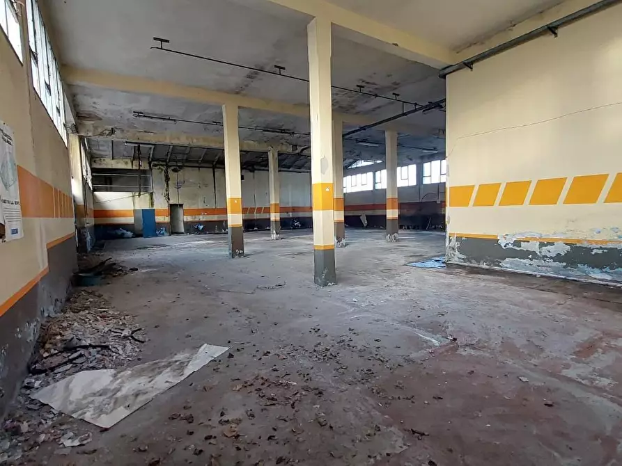 Immagine 4 di Magazzino in vendita  a Pontedera