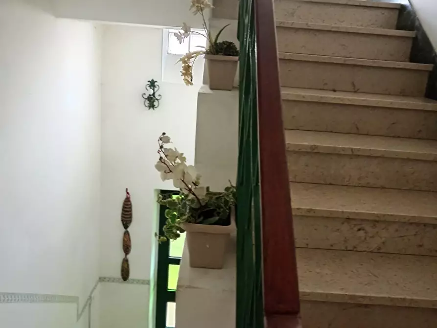 Immagine 2 di Appartamento in vendita  a Massa