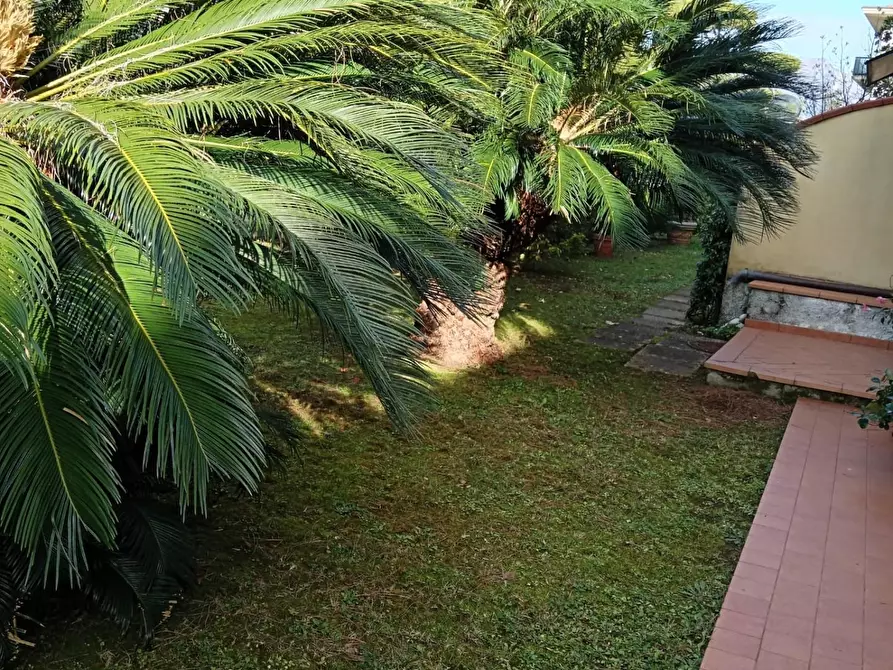 Immagine 4 di Appartamento in vendita  a Massa