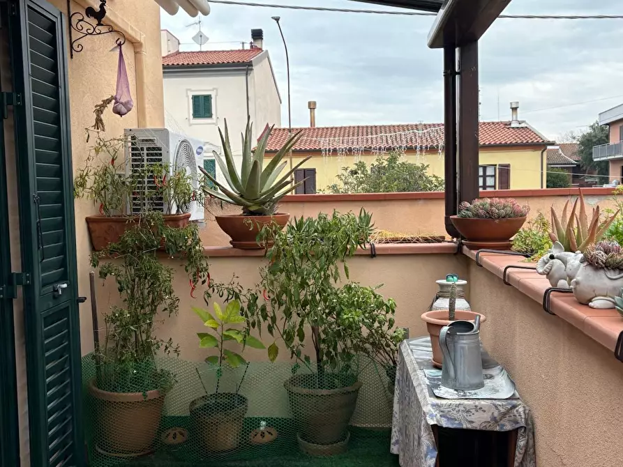 Immagine 25 di Appartamento in vendita  a Collesalvetti