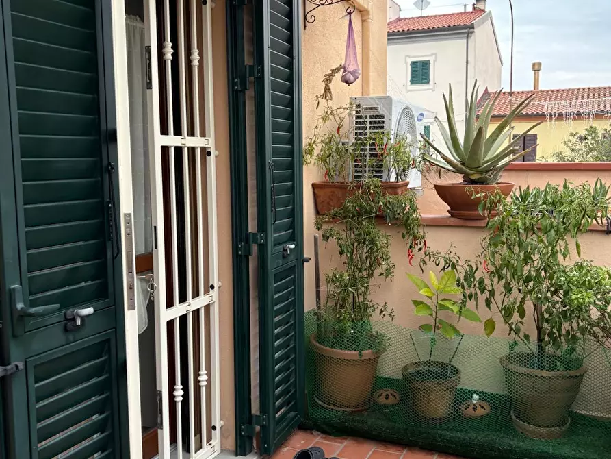 Immagine 16 di Appartamento in vendita  a Collesalvetti