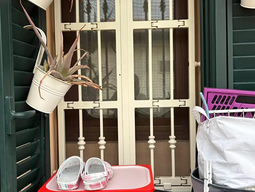 Immagine 9 di Appartamento in vendita  a Collesalvetti