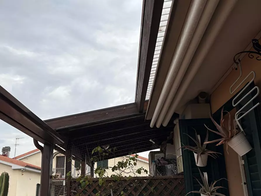 Immagine 24 di Appartamento in vendita  a Collesalvetti