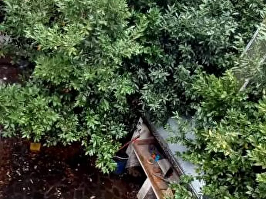 Immagine 13 di Villa in vendita  a Castelfranco Di Sotto