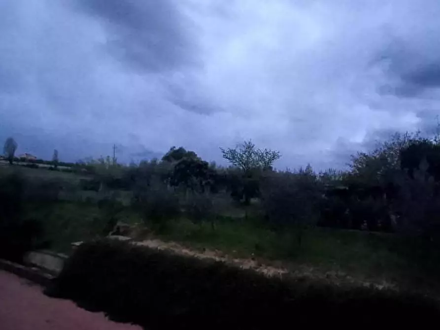 Immagine 1 di Villetta a schiera in vendita  a Crespina Lorenzana