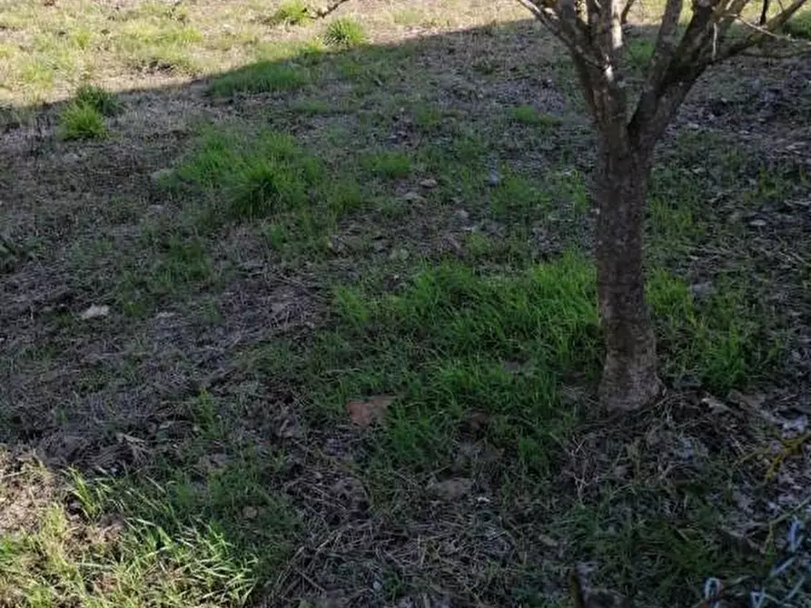 Immagine 1 di Casa indipendente in vendita  a Casciana Terme Lari