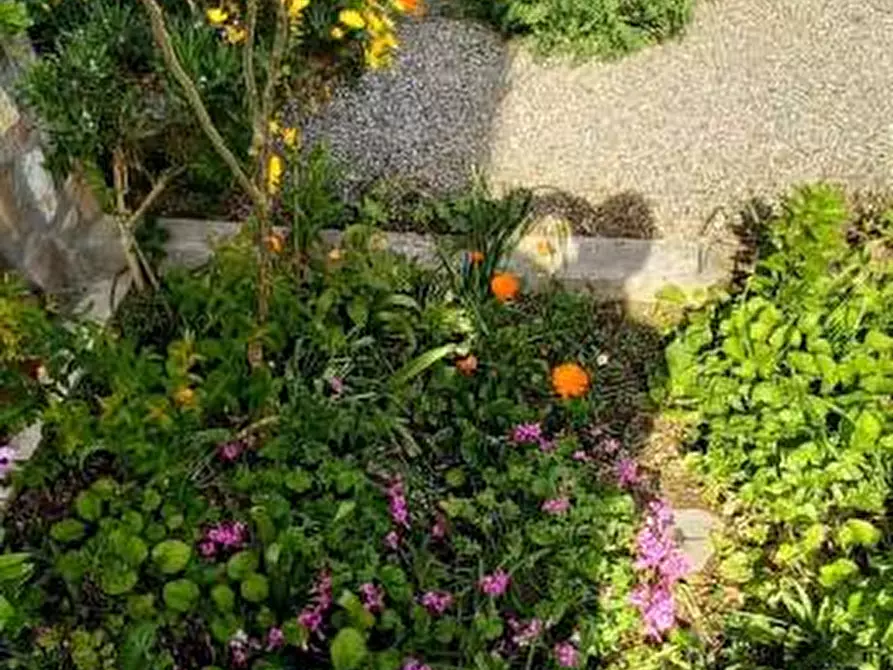 Immagine 28 di Villa in vendita  a Ponsacco