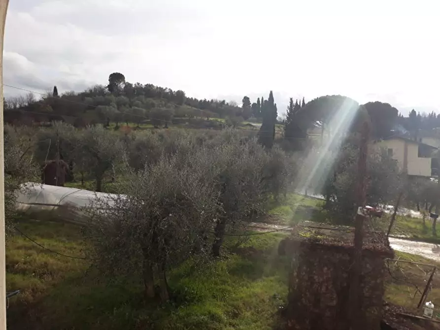 Immagine 3 di Rustico / casale in vendita  a Casciana Terme Lari