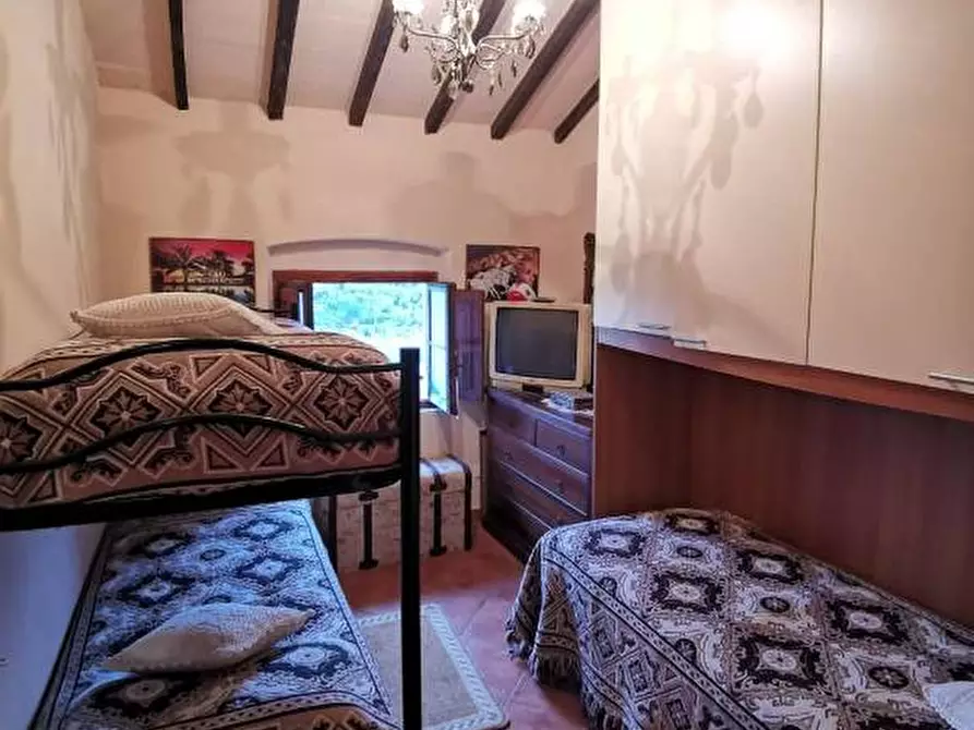 Immagine 6 di Casa indipendente in vendita  a Terricciola