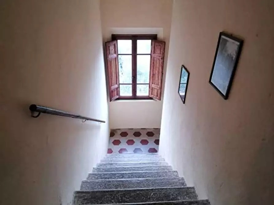 Immagine 15 di Casa indipendente in vendita  a Terricciola