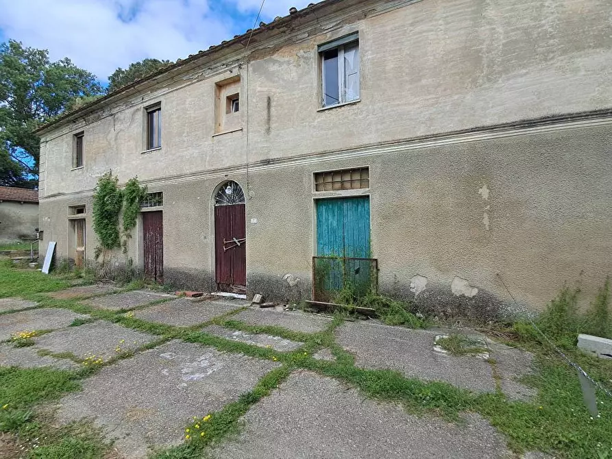 Immagine 10 di Rustico / casale in vendita  a Casciana Terme Lari