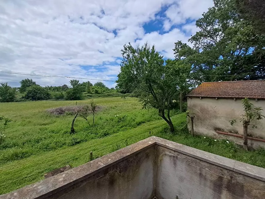 Immagine 15 di Rustico / casale in vendita  a Casciana Terme Lari