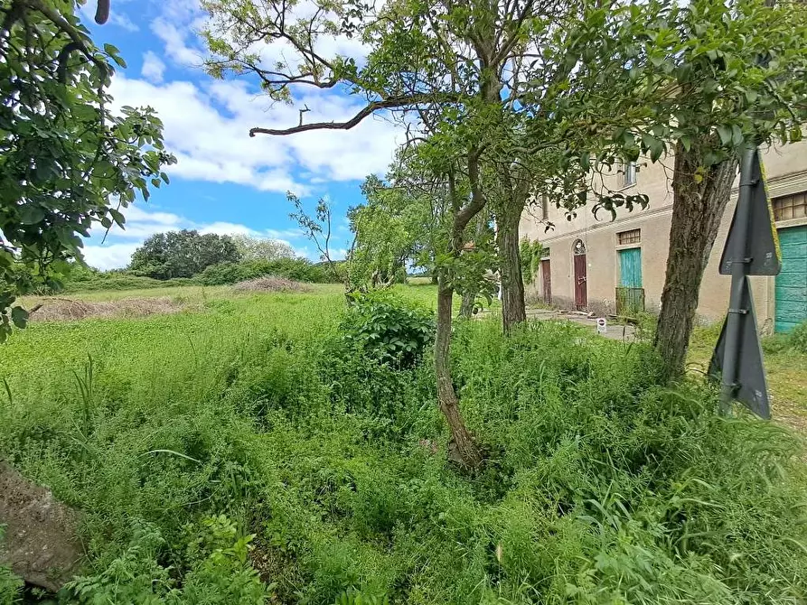Immagine 18 di Rustico / casale in vendita  a Casciana Terme Lari
