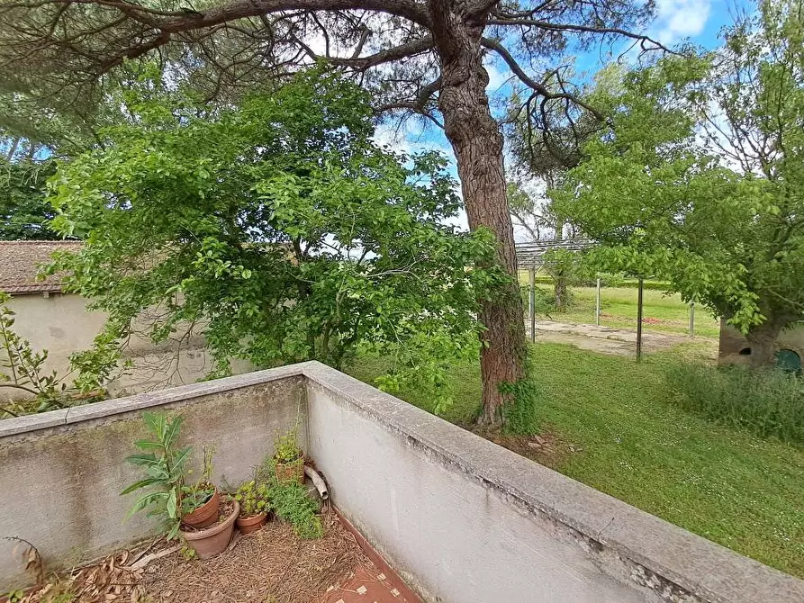 Immagine 17 di Rustico / casale in vendita  a Casciana Terme Lari