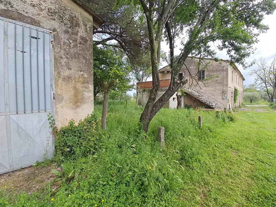 Immagine 5 di Rustico / casale in vendita  a Casciana Terme Lari
